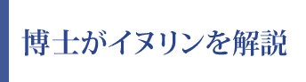 博士がイヌリンを解説