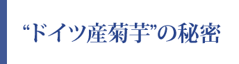 ドイツ産菊芋の秘密