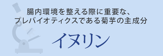 イヌリン