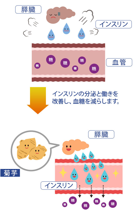 インスリンの機能を回復させる
