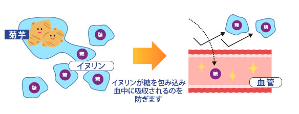 糖の吸収をブロック