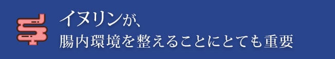 イヌリンが、腸内環境を整えることにとても重要