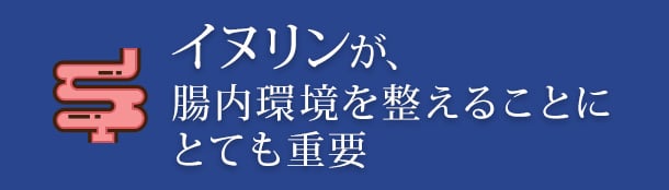 イヌリンが、腸内環境を整えることにとても重要