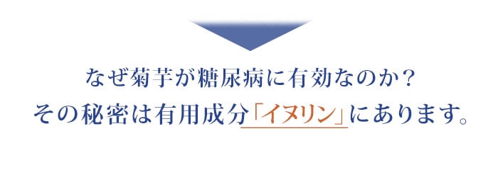 なぜ菊芋が糖尿病に有効なのか？その秘密は有用成分「イヌリン」にあります。